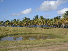 Click to enlarge