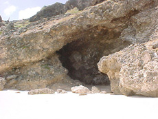 Click to enlarge