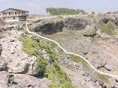 Click to enlarge