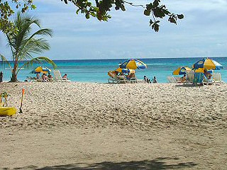 Dover beach essays