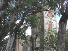 Click to enlarge